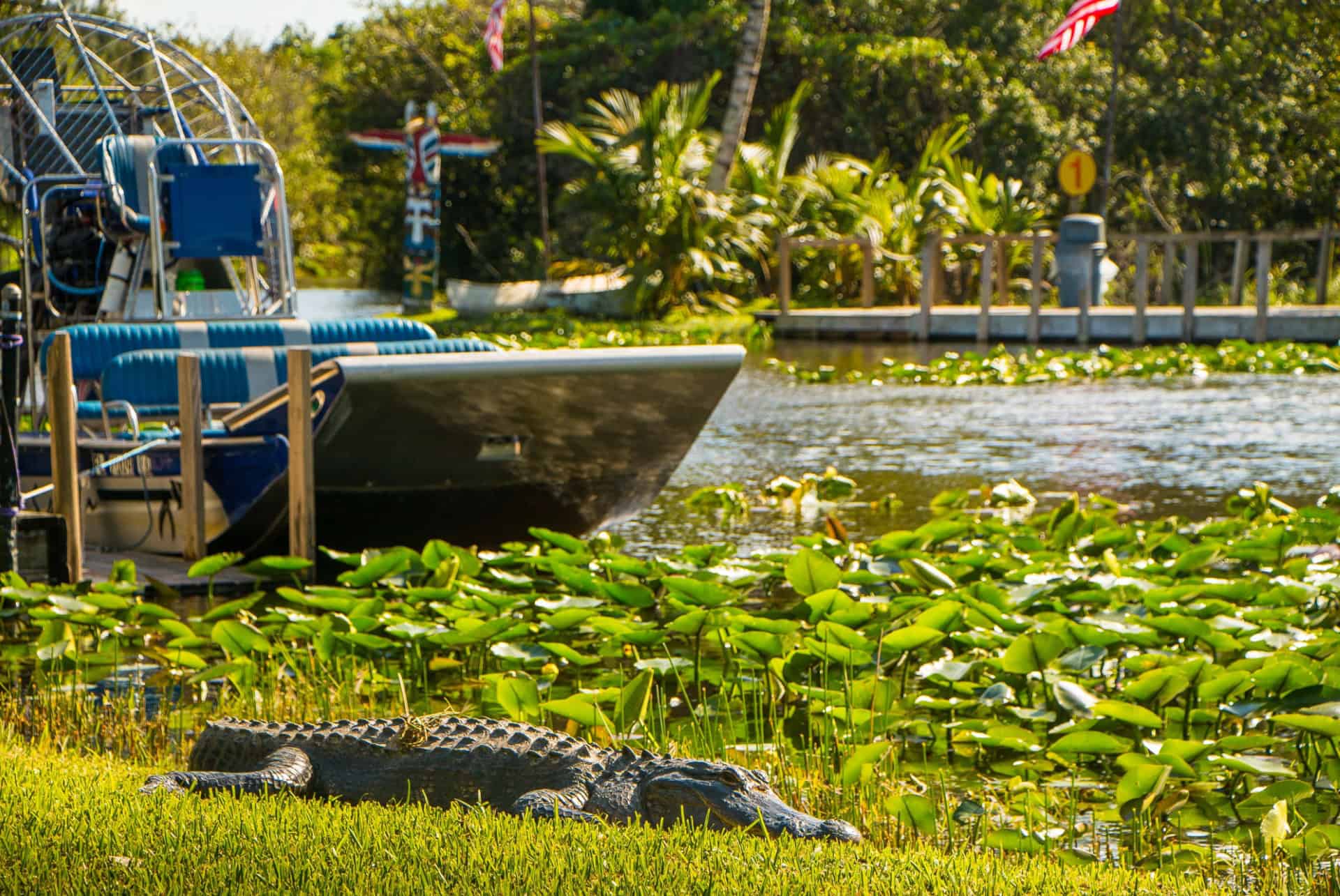 everglades