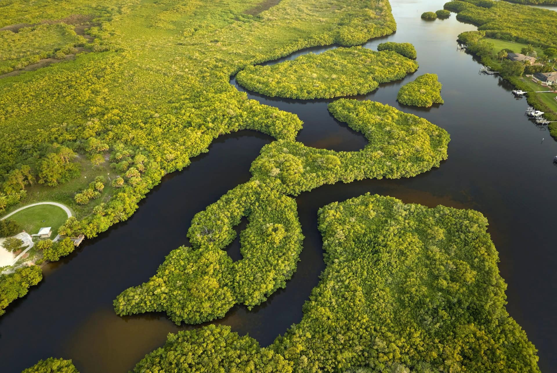 parc national everglades vue aerienne