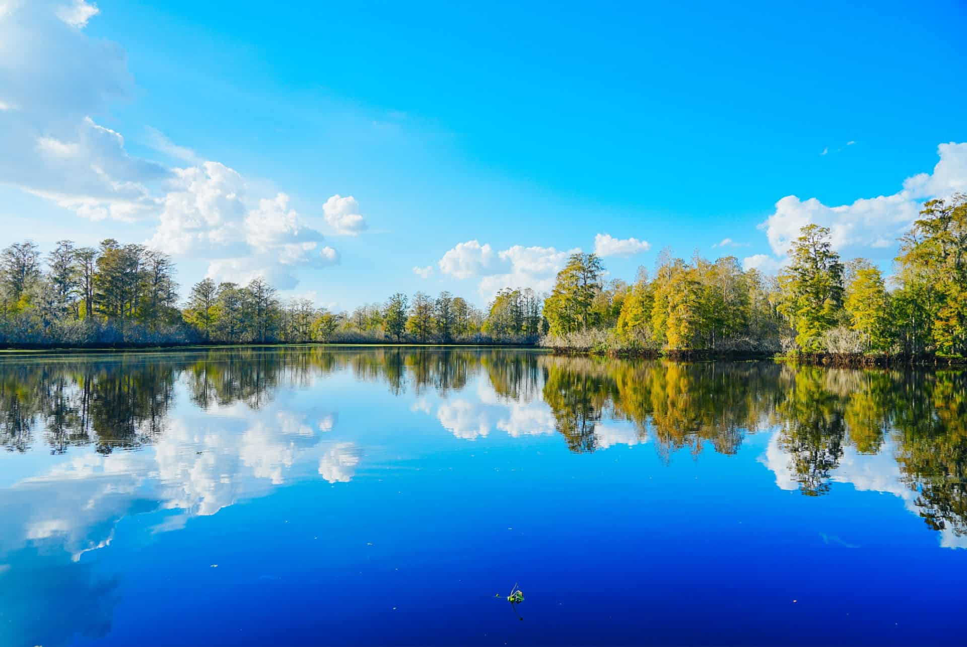 lettuce lake park
