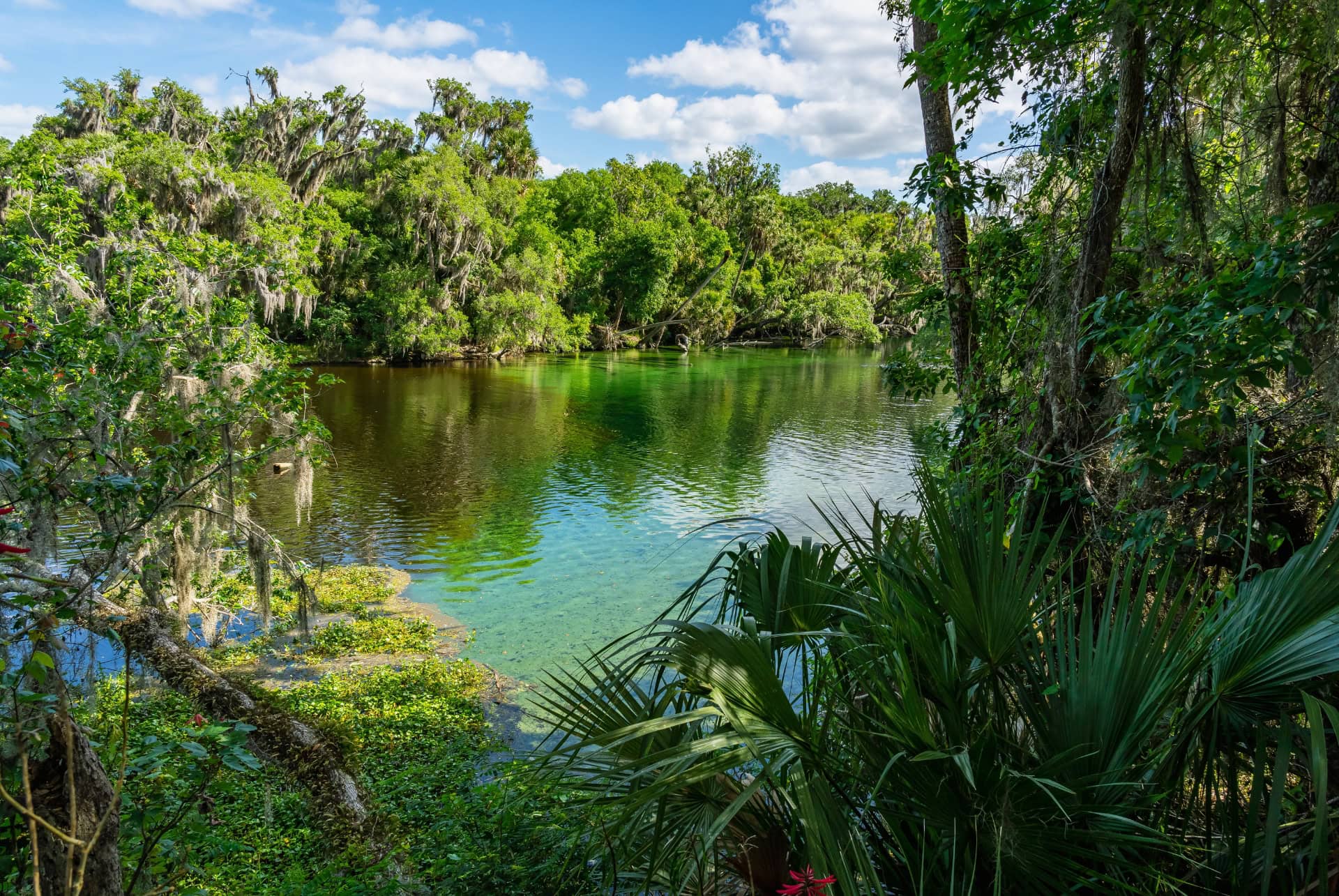 blue spring state park