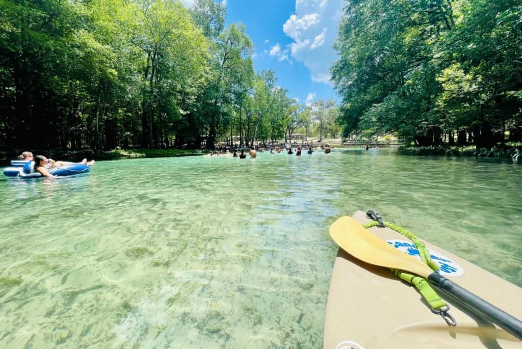 Kayak et rencontre avec les lamantins