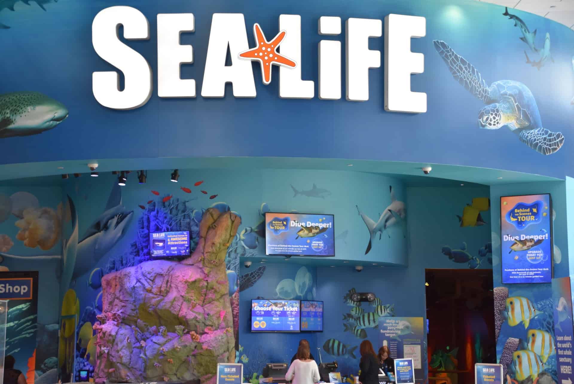 accueil sealife