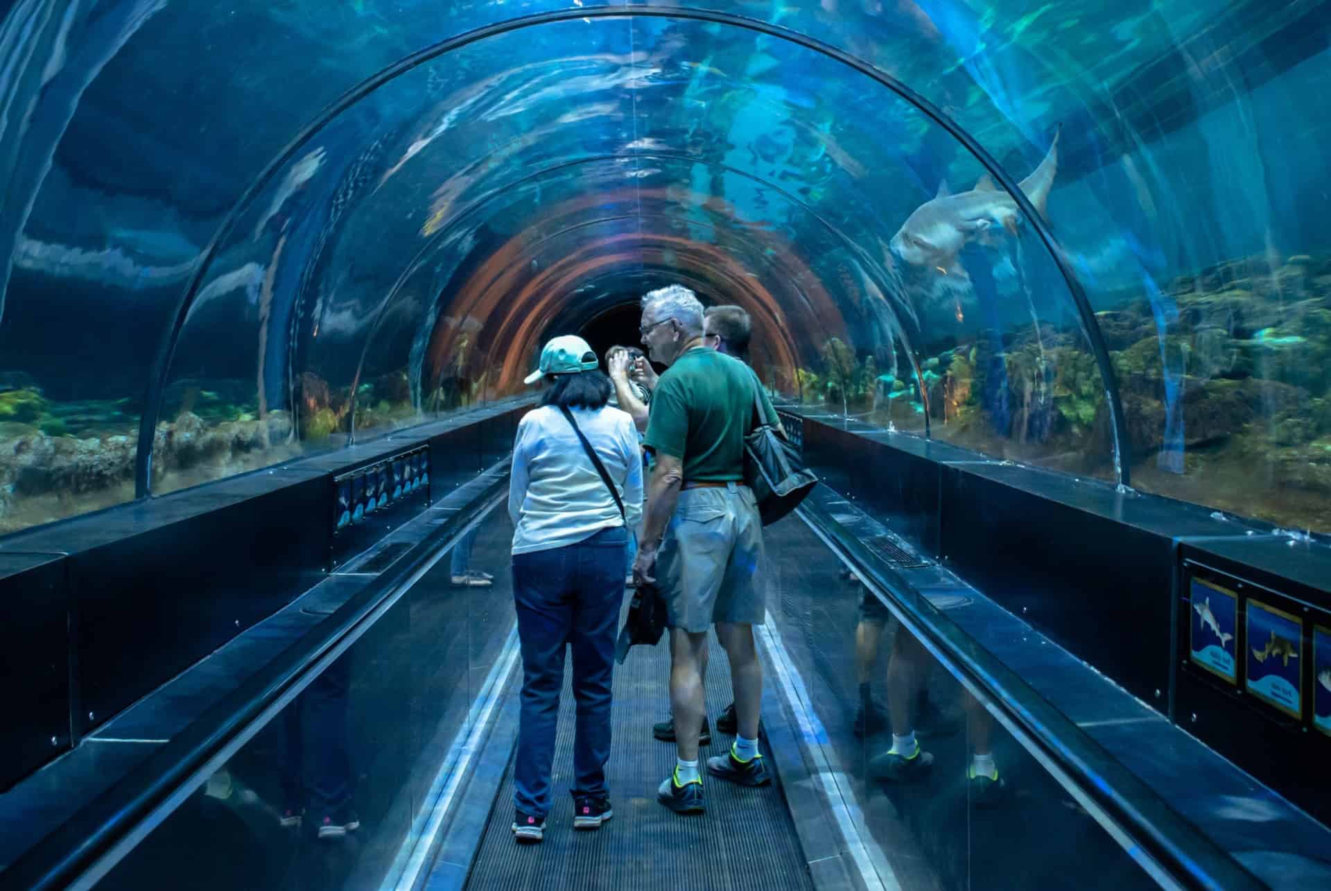 tunnel sealife aquarium orlando