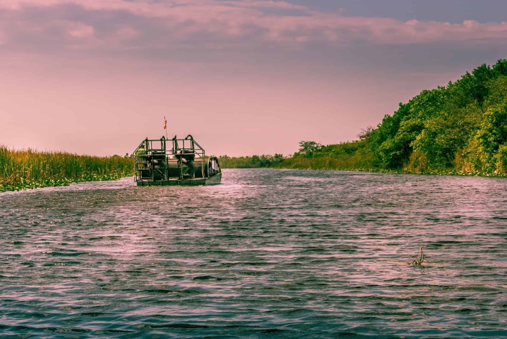 everglades