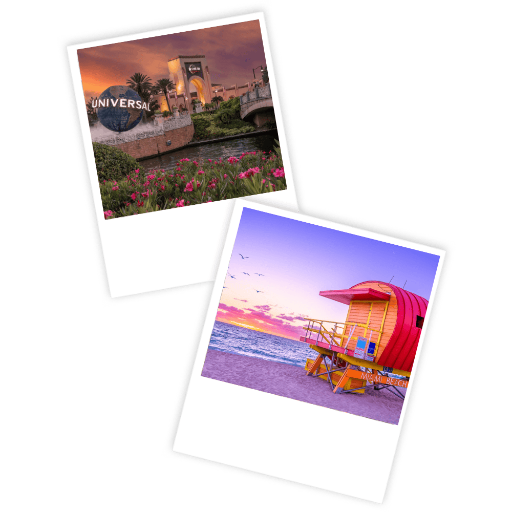 polaroid bonjour floride bf
