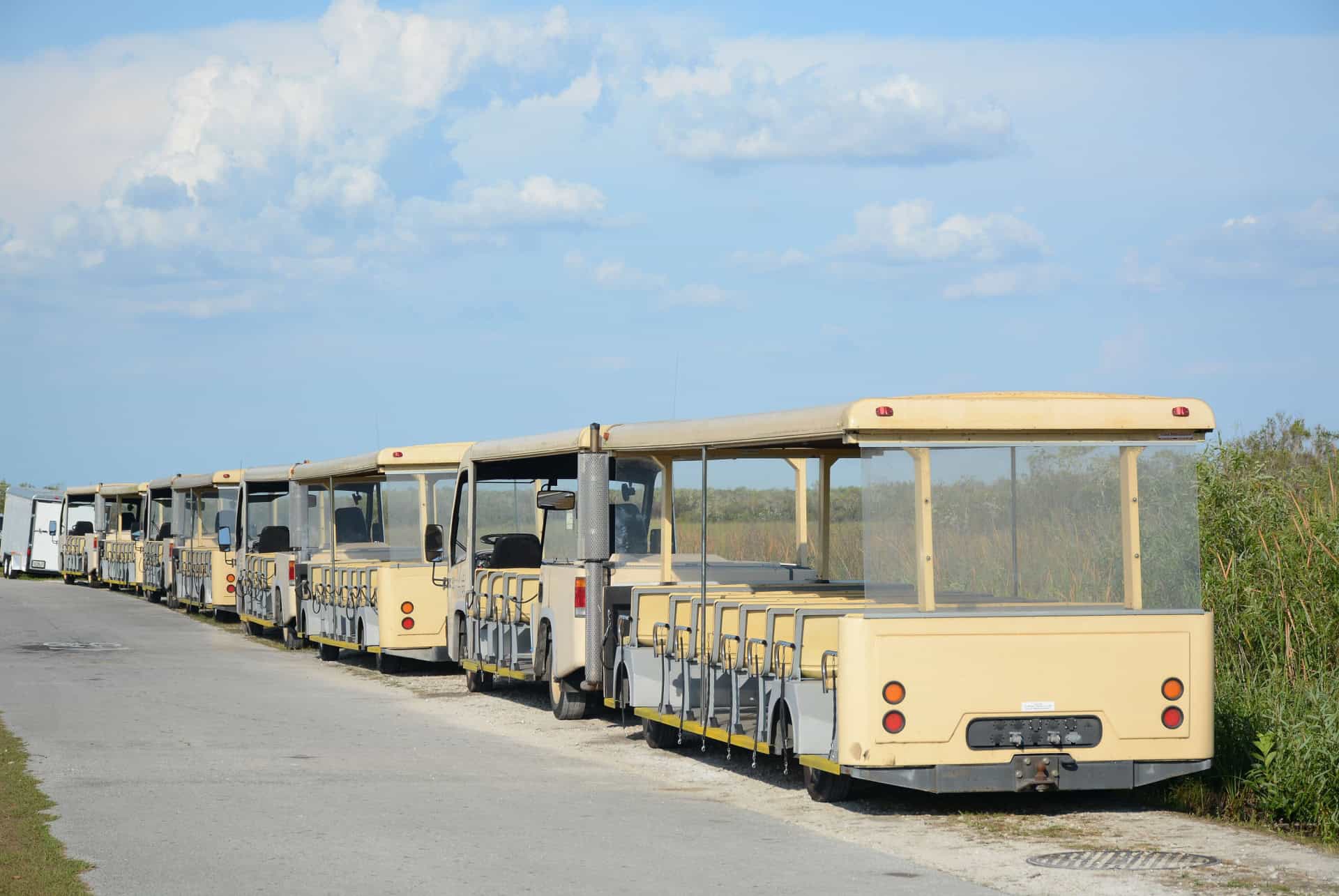 tram shark valley everglades