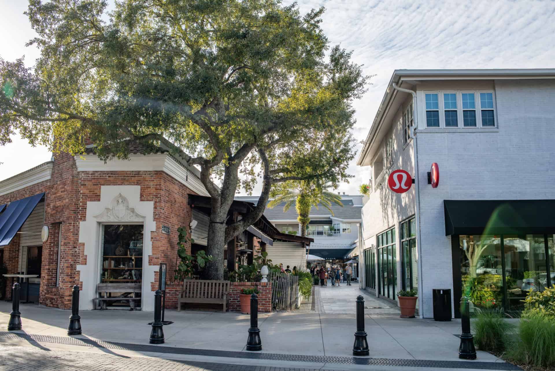 hyde park tampa