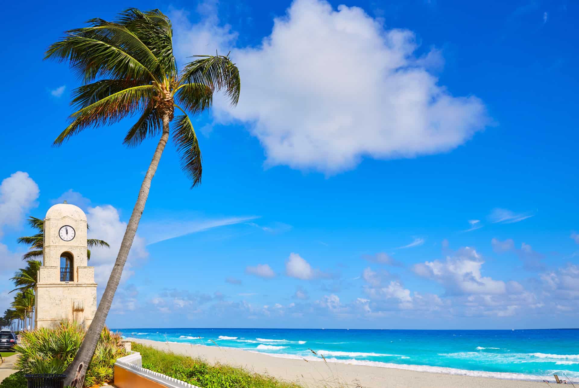 palm beach
