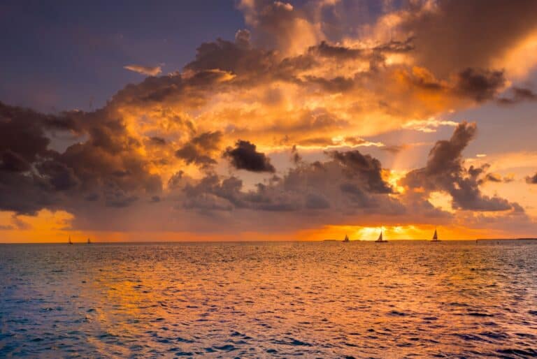 Croisière au coucher de soleil