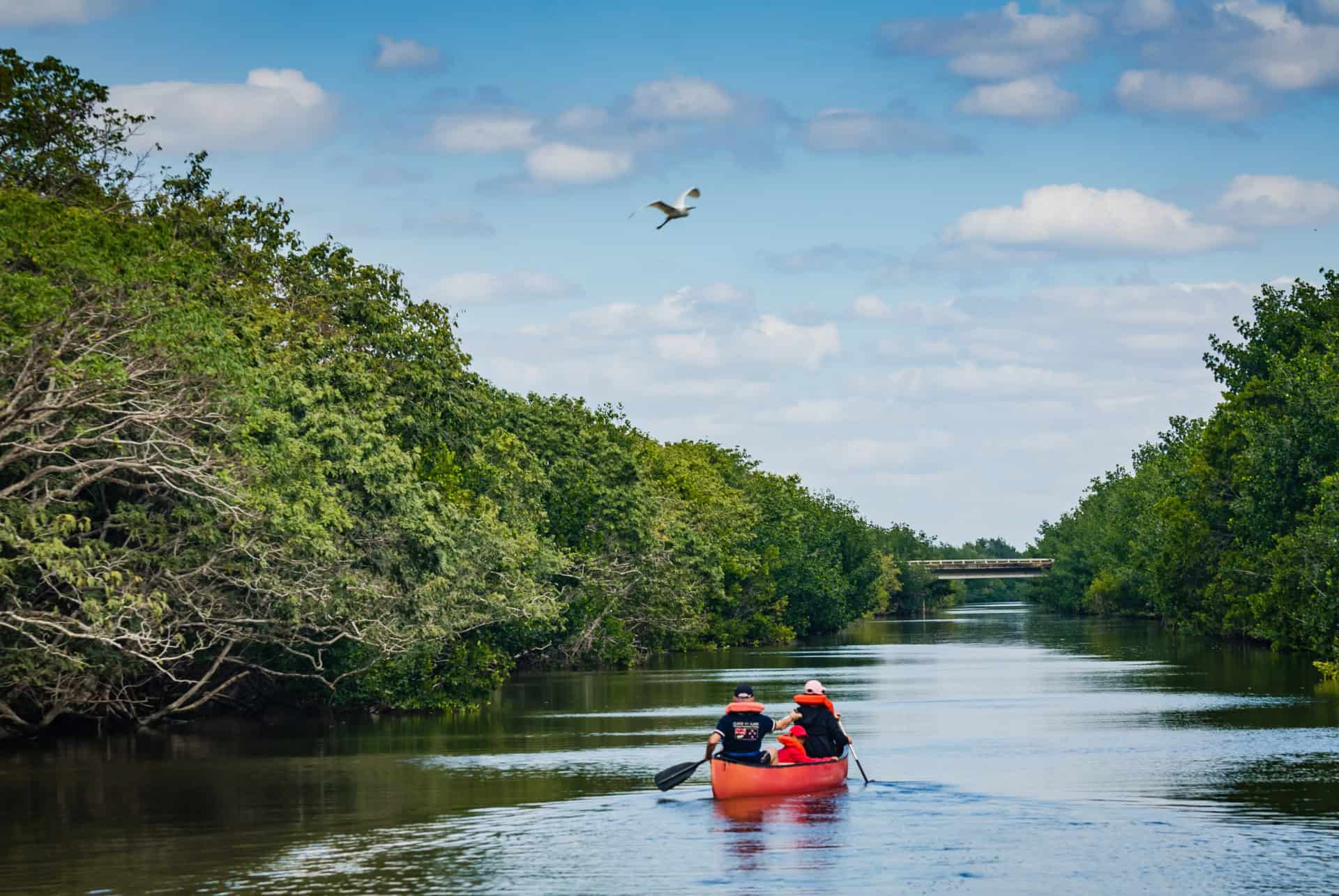 plus beaux parcs naturels floride biscayne park