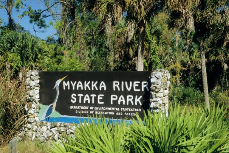 Excursion à vélo à Myakka River Park