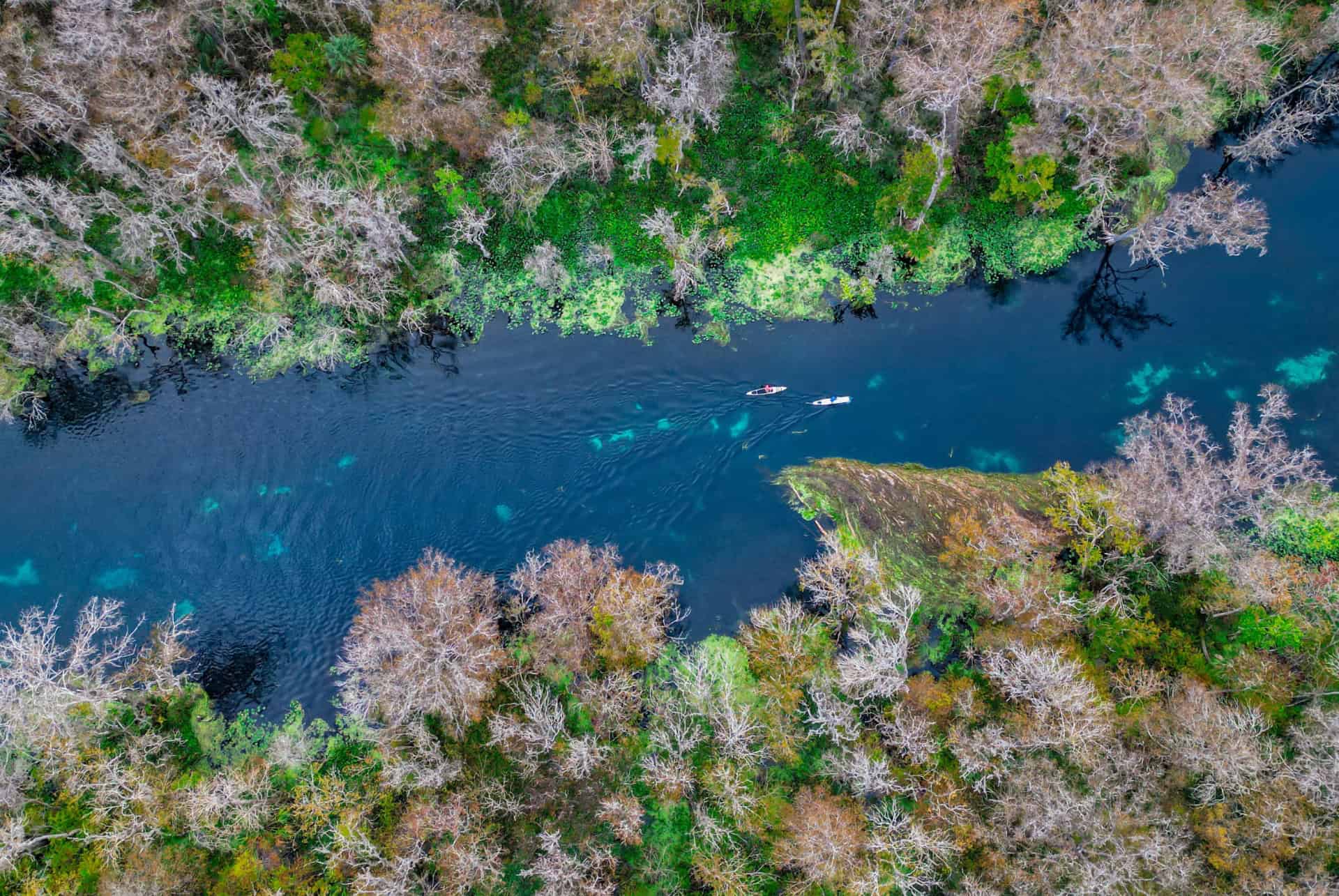 silver springs plus beaux parcs floride