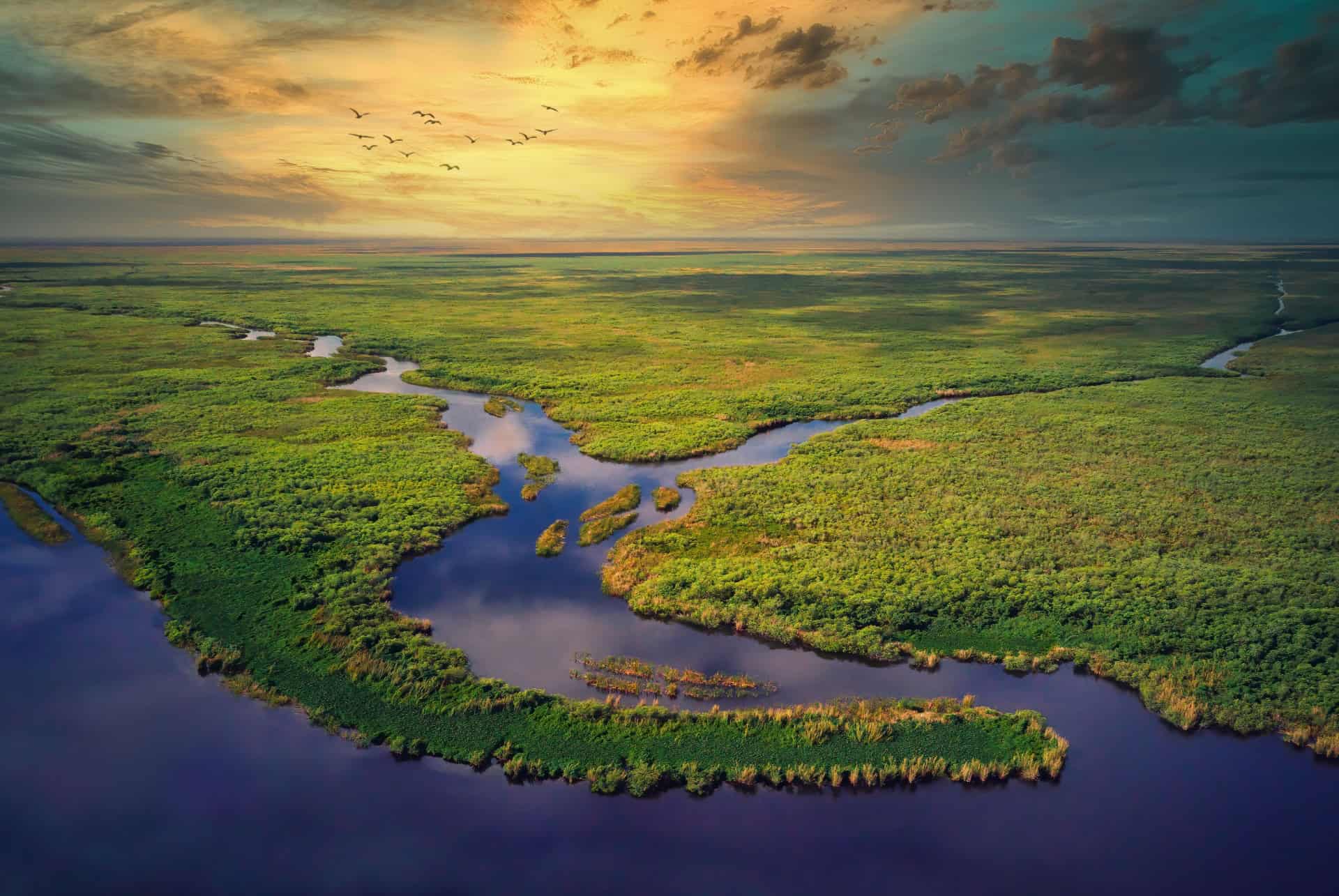 ou dormir dans les everglades ou dormir dans les everglades
