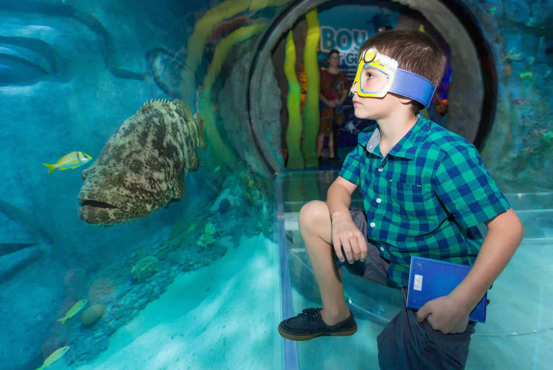 sealife orlando