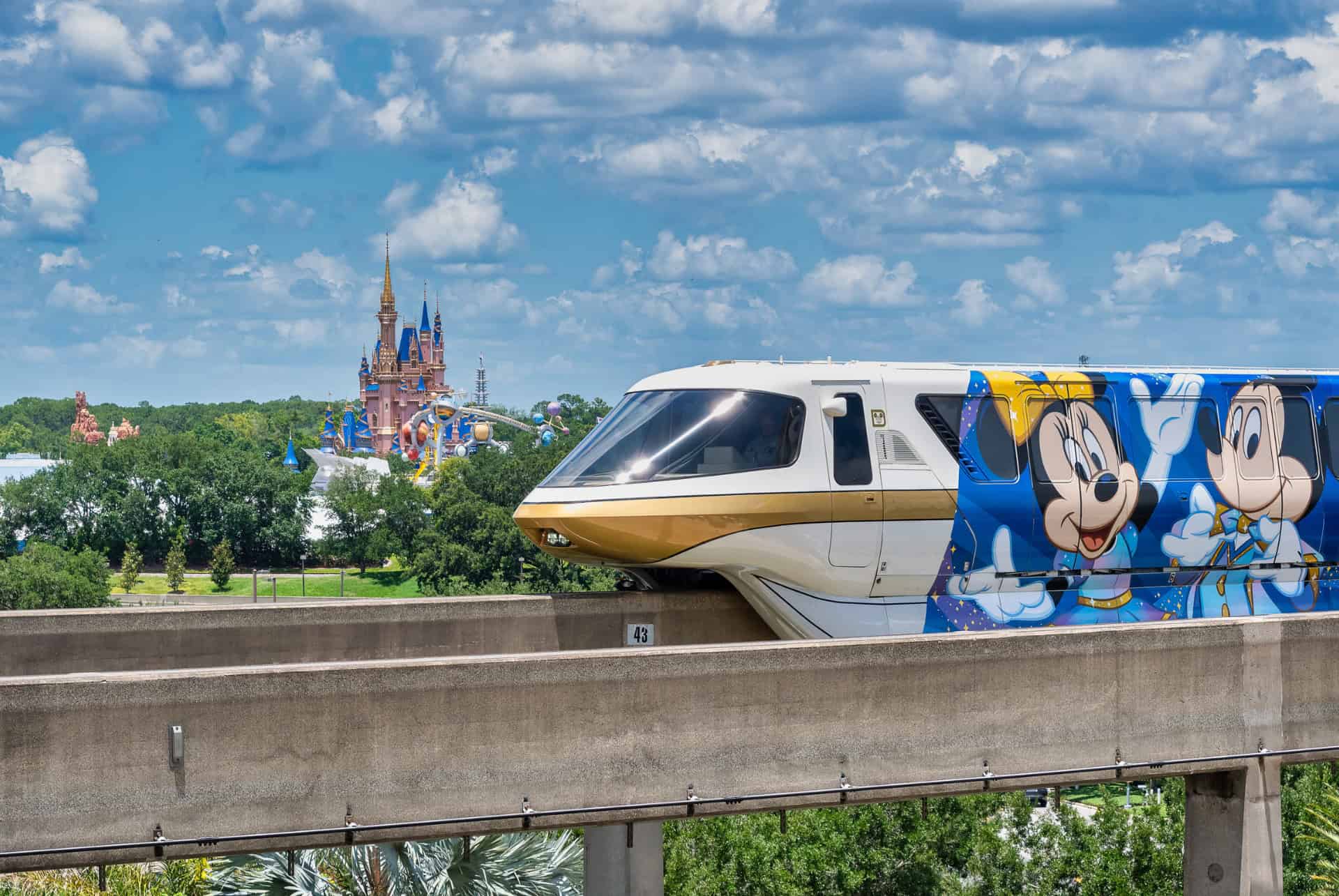 walt disney resort