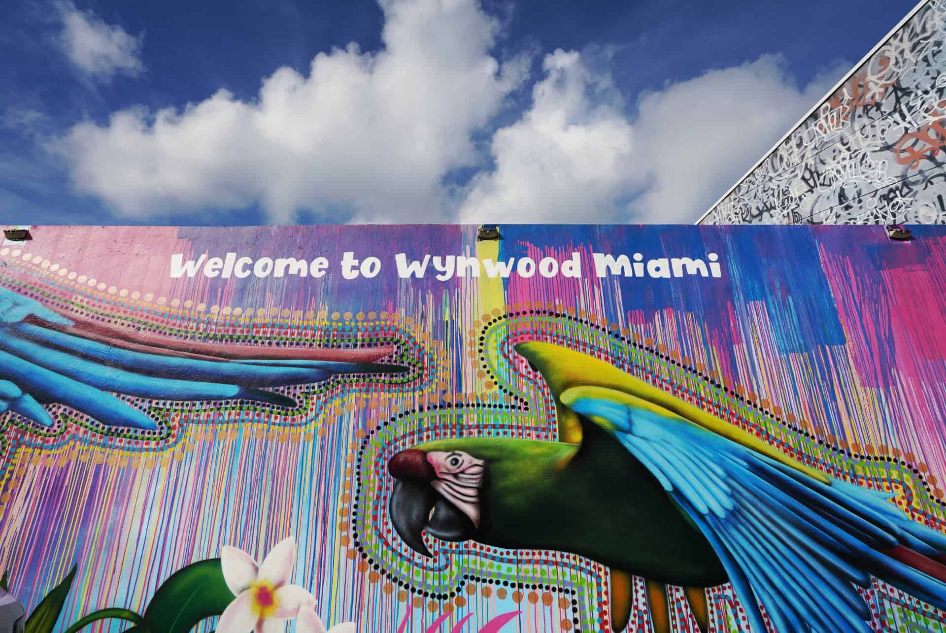 wynwood walls wynwood walls