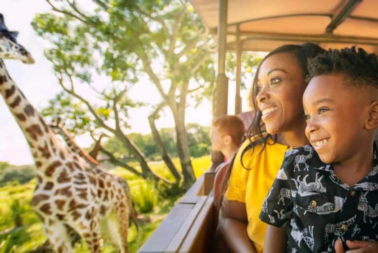 Billet avec option parc aquatique et sports