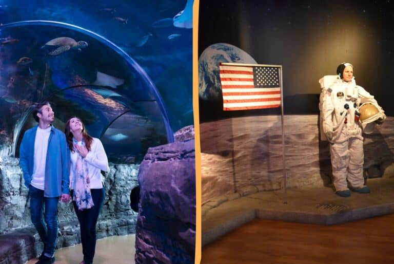 SEA LIFE & Madame Tussauds
