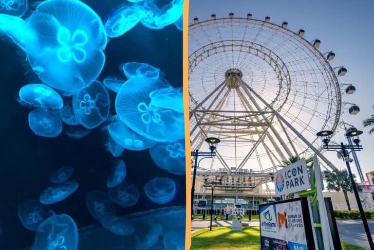 SEA Life & Madame Tussauds & Orlando Eye