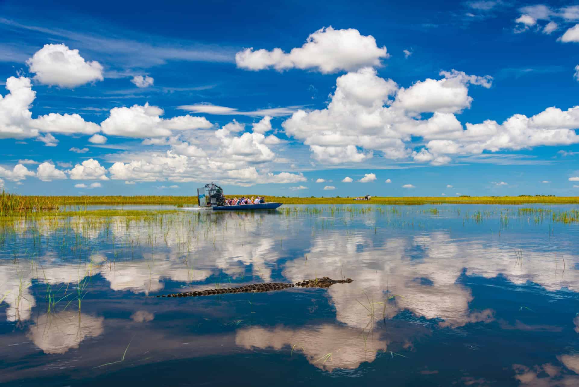 everglades airboat