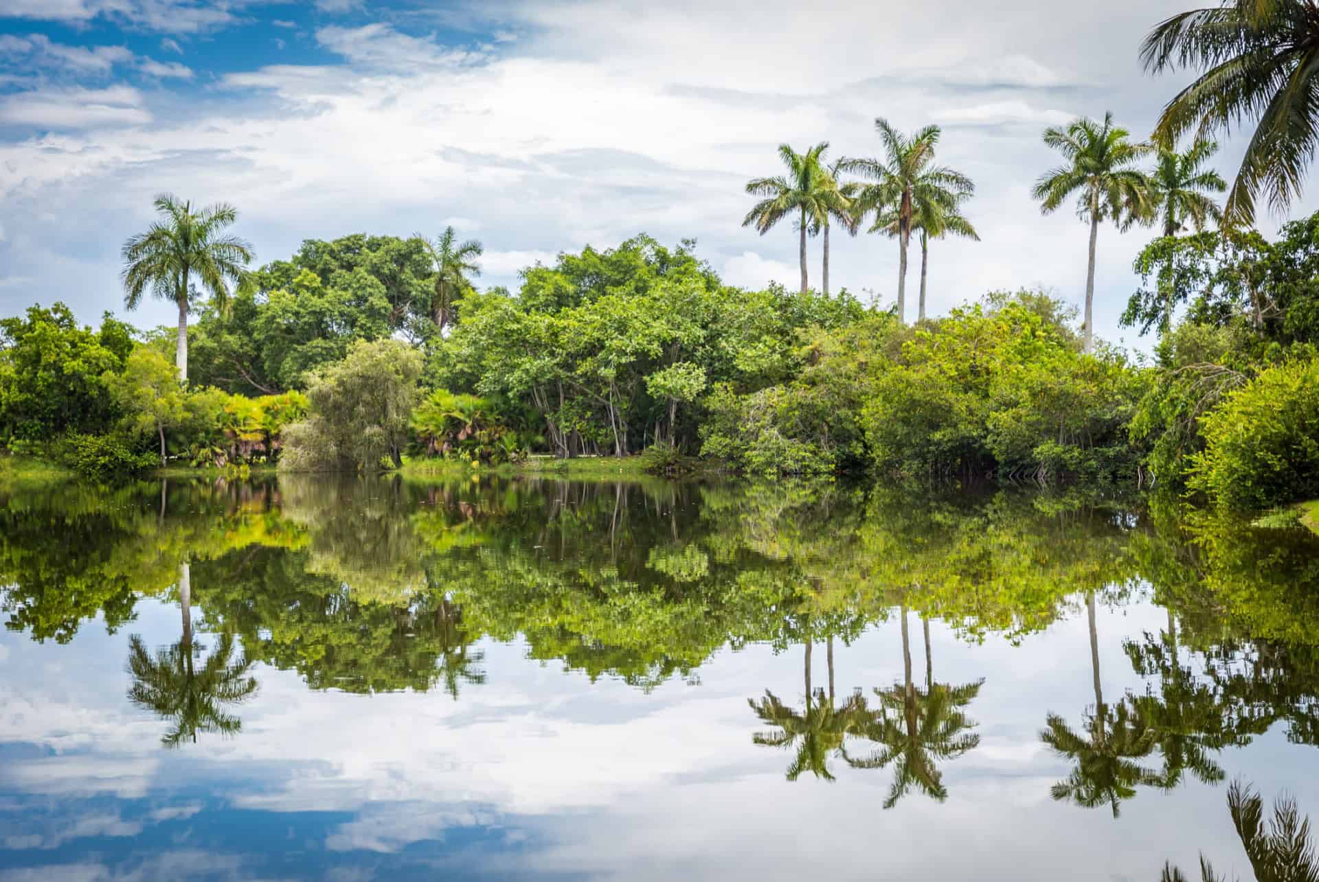 fairchild tropical garden miami novembre fairchild tropical garden miami novembre