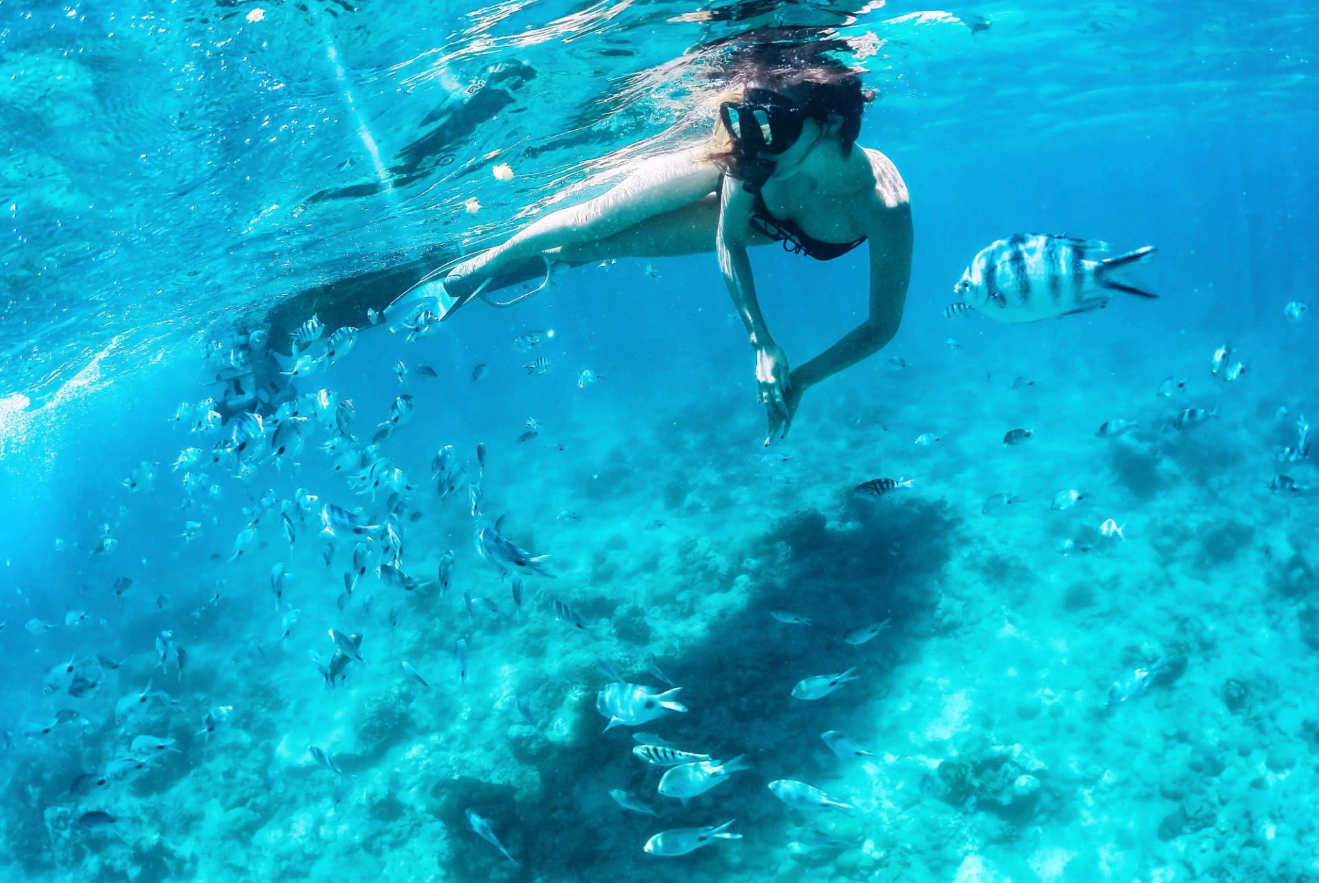 plongee a miami plongee a miami