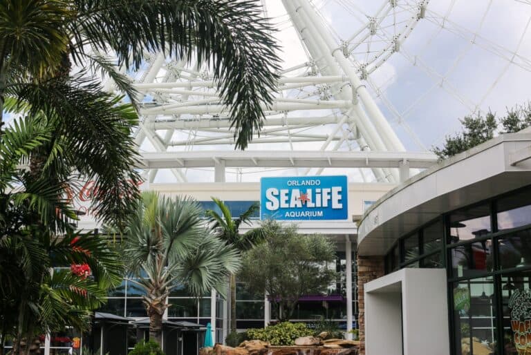 Entrée au SEA LIFE Orlando
