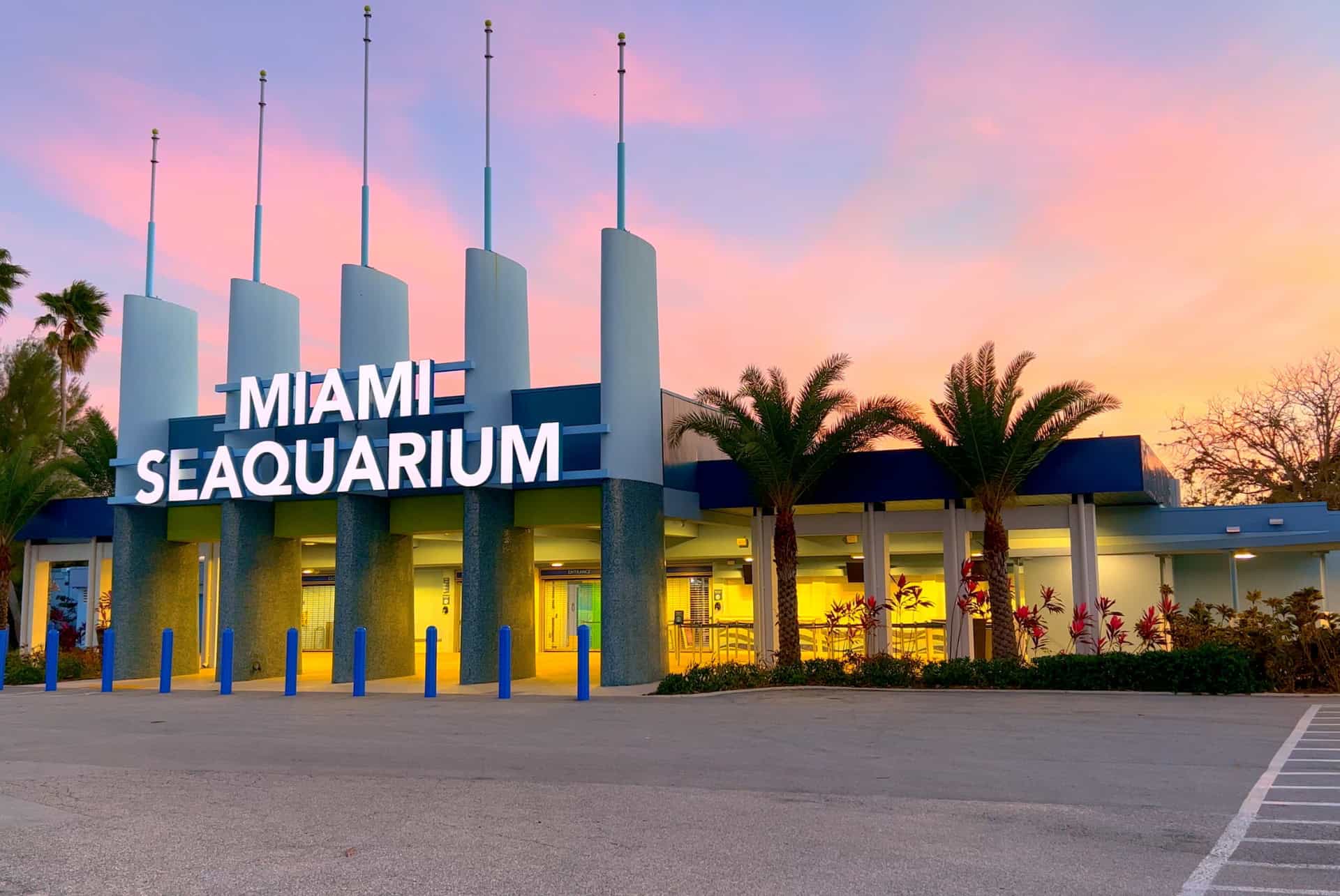 seaquarium que faire a miami seaquarium que faire a miami