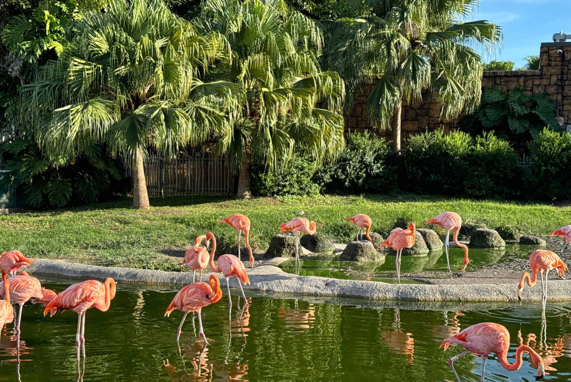 zoo de miami zoo de miami