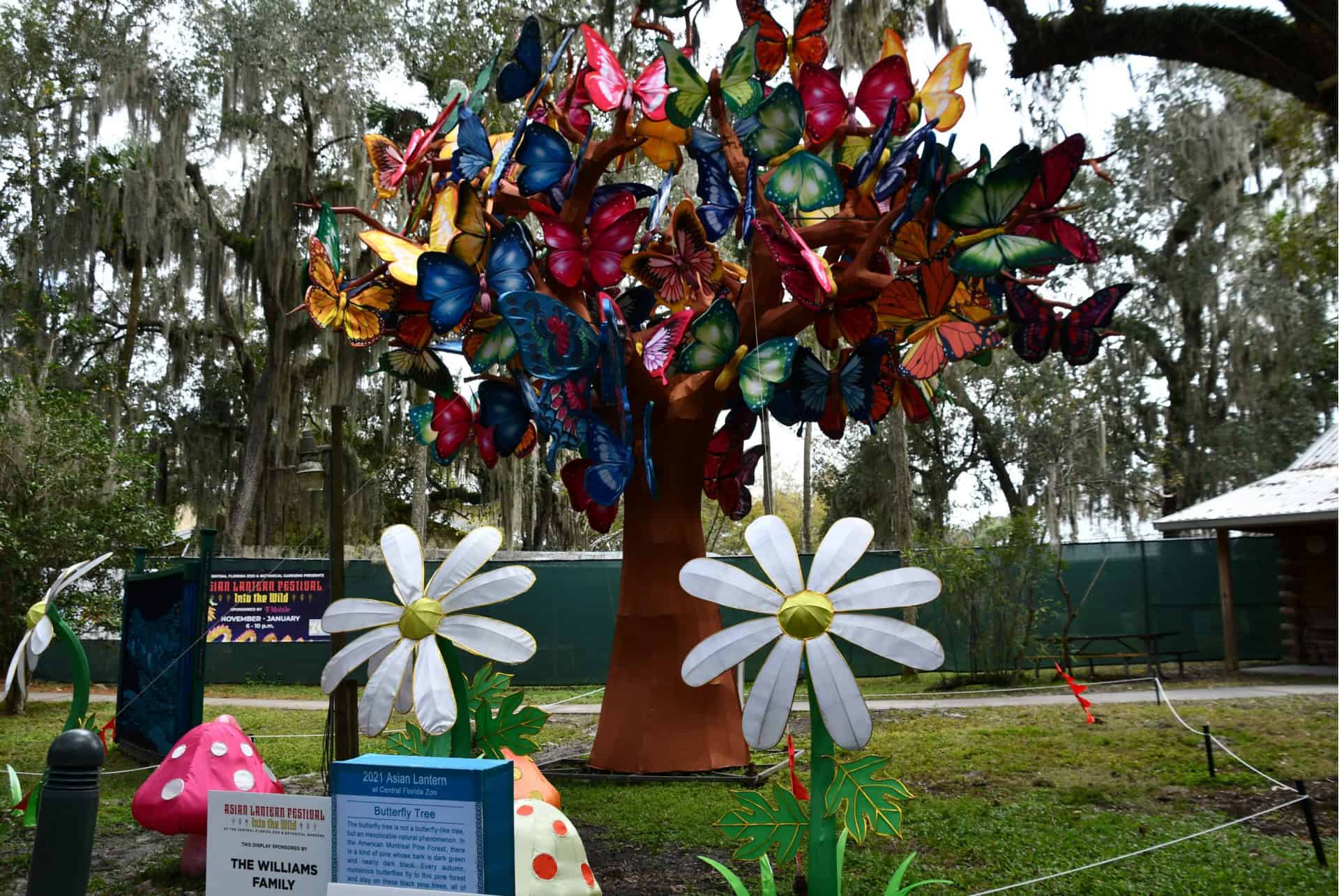 asian festival orlando asian festival orlando