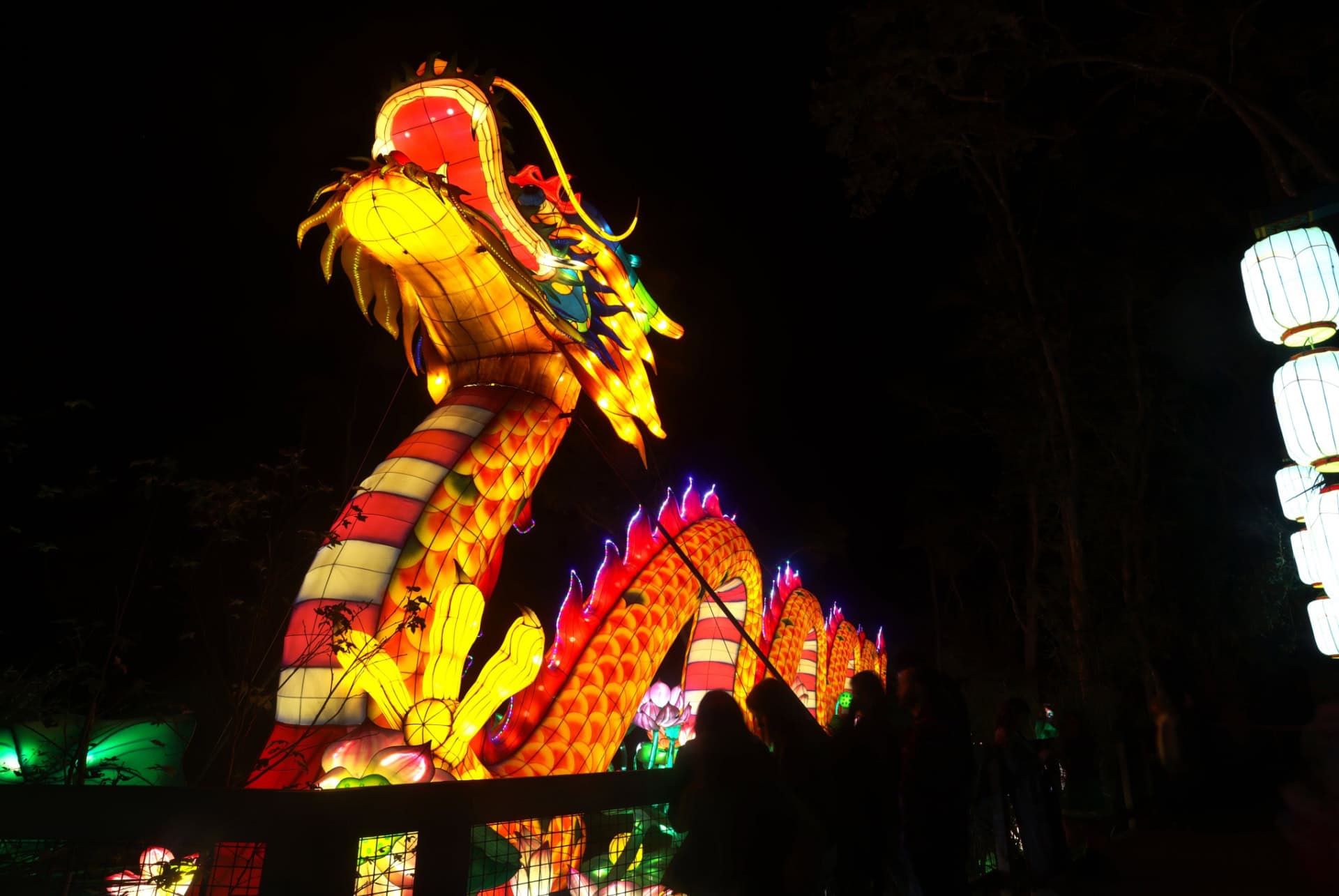 asian lantern festival orlando asian lantern festival orlando