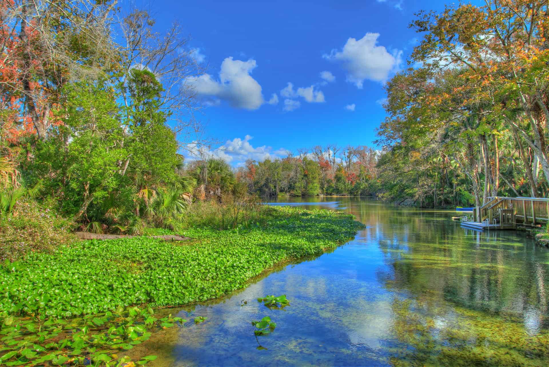 blue spring state park floride blue spring state park floride