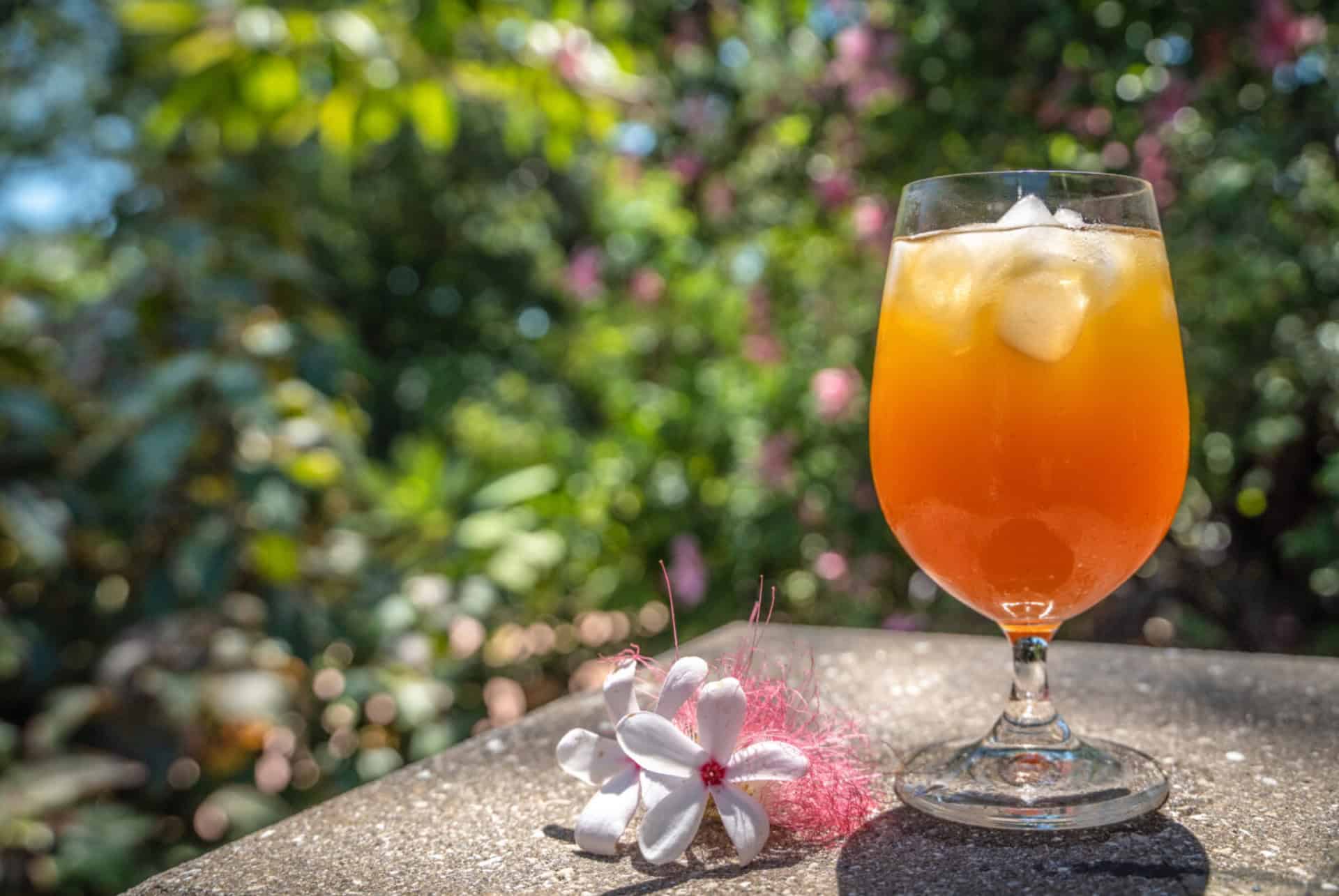 frogg cafe frogg cafe