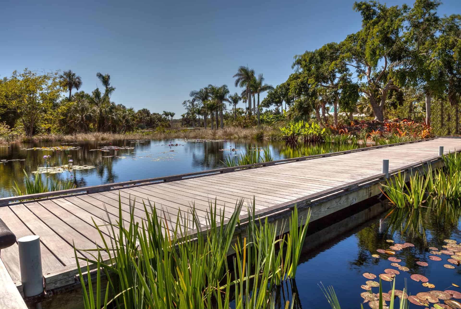 jardin botanique de naples jardin botanique de naples