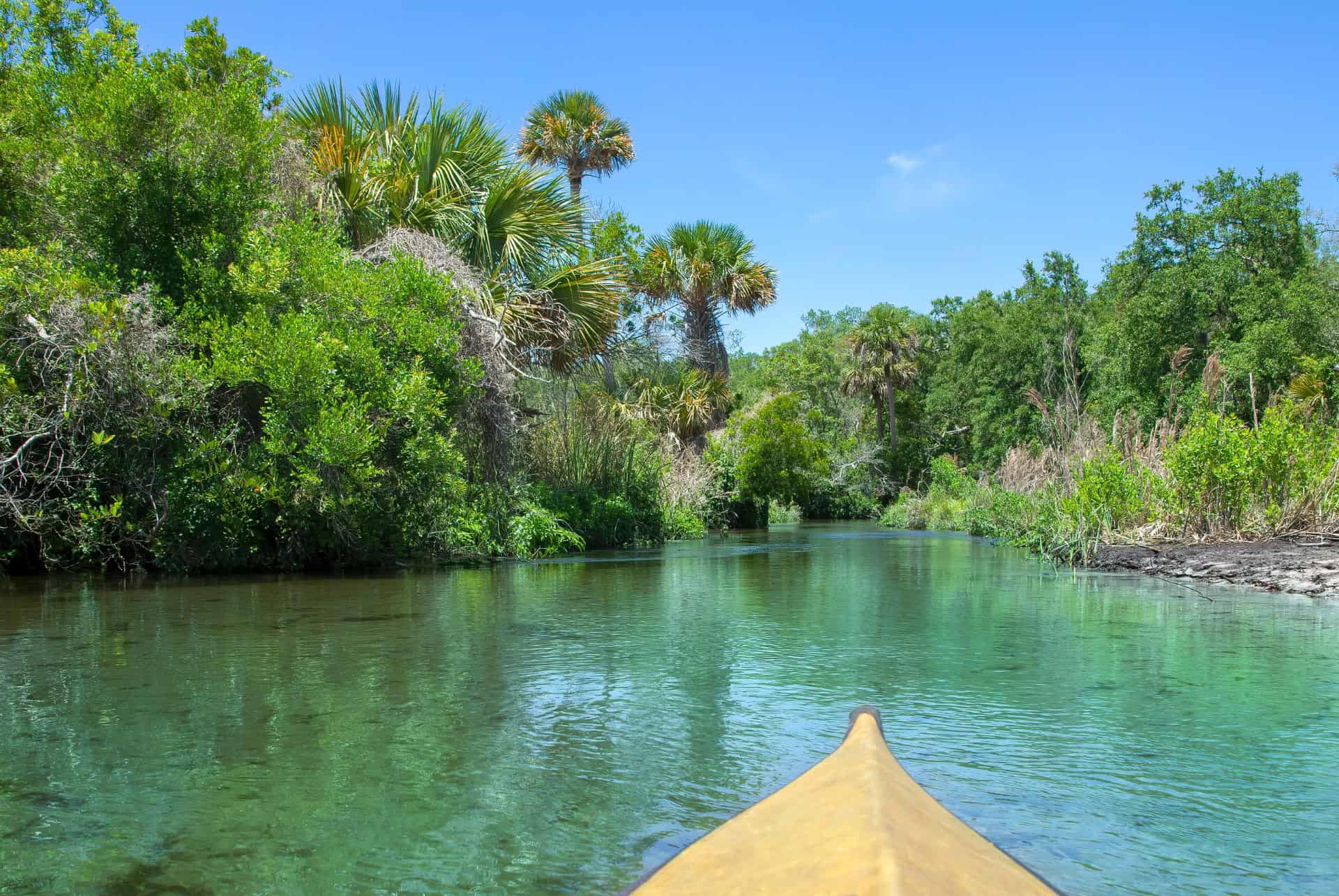 juniper springs kayak juniper springs kayak