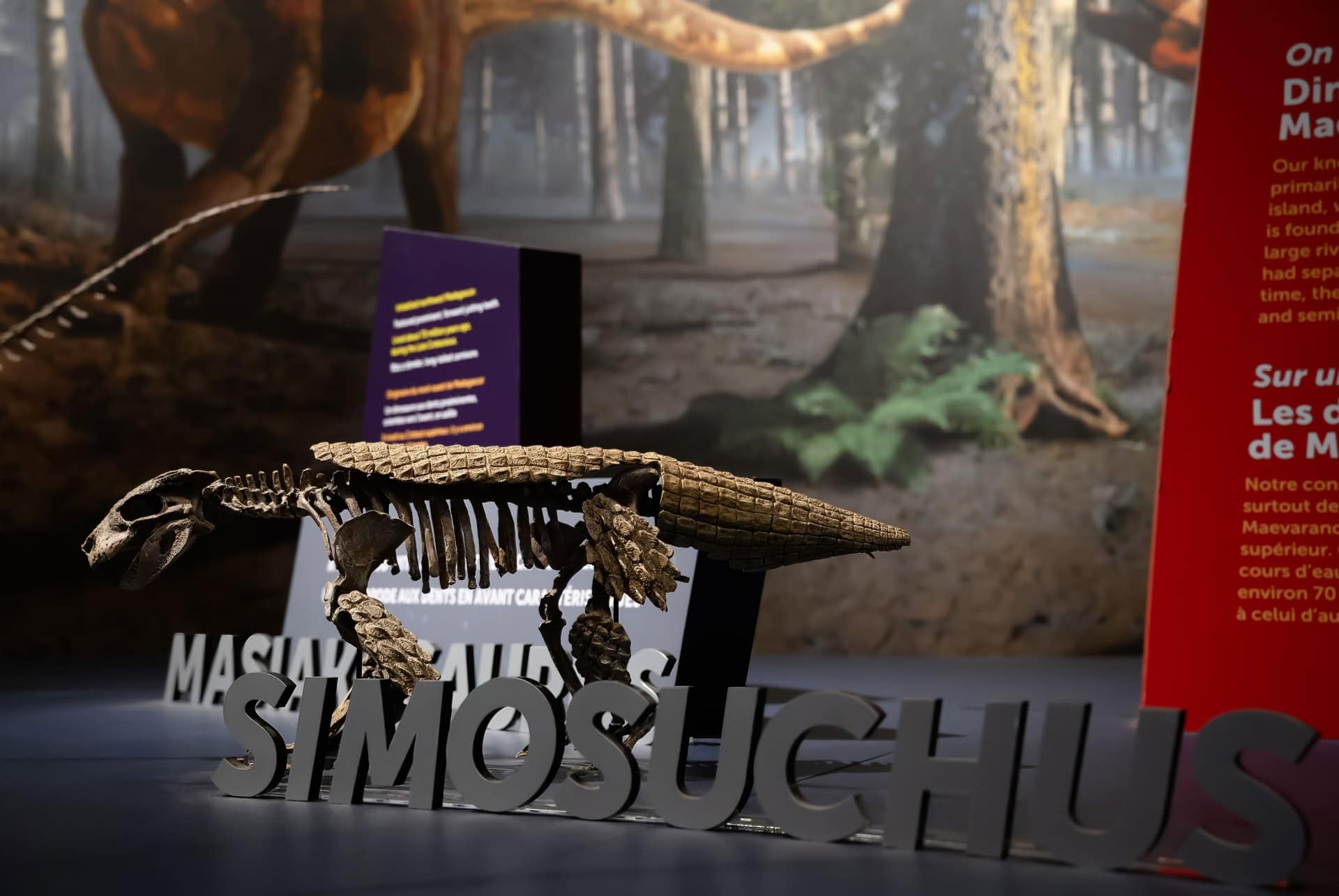 exposition dinosaures frost museum exposition dinosaures frost museum