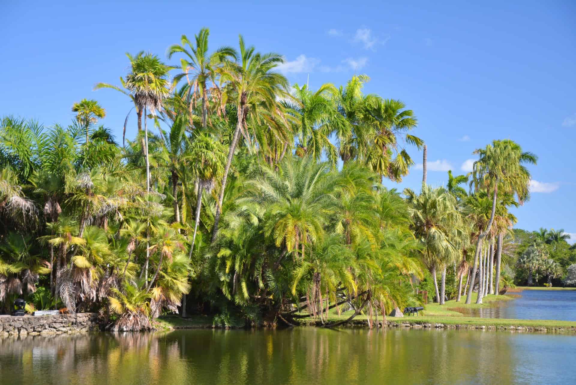 jardin fairchild miami en avril jardin fairchild miami en avril