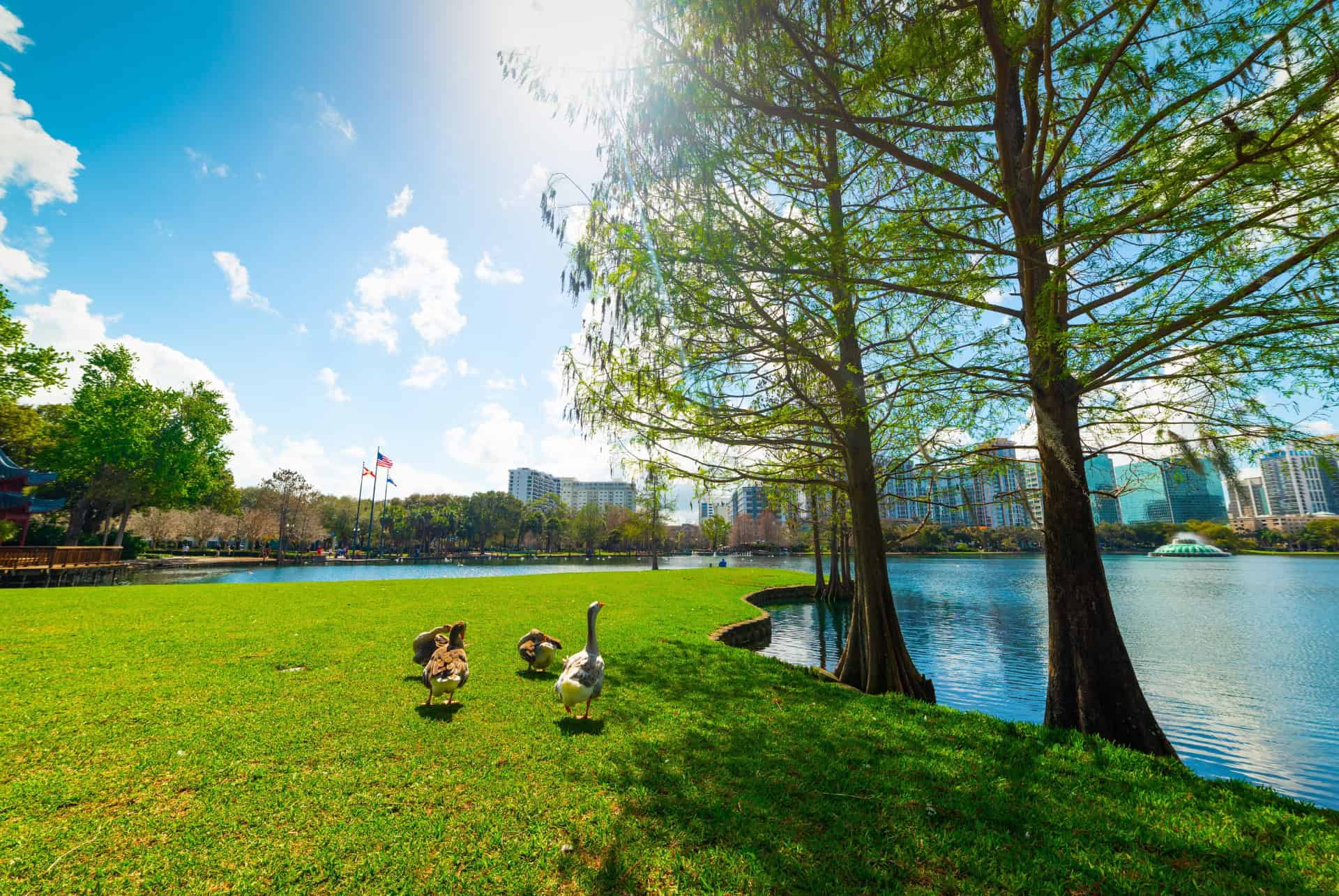 lake eola park orlando lake eola park orlando
