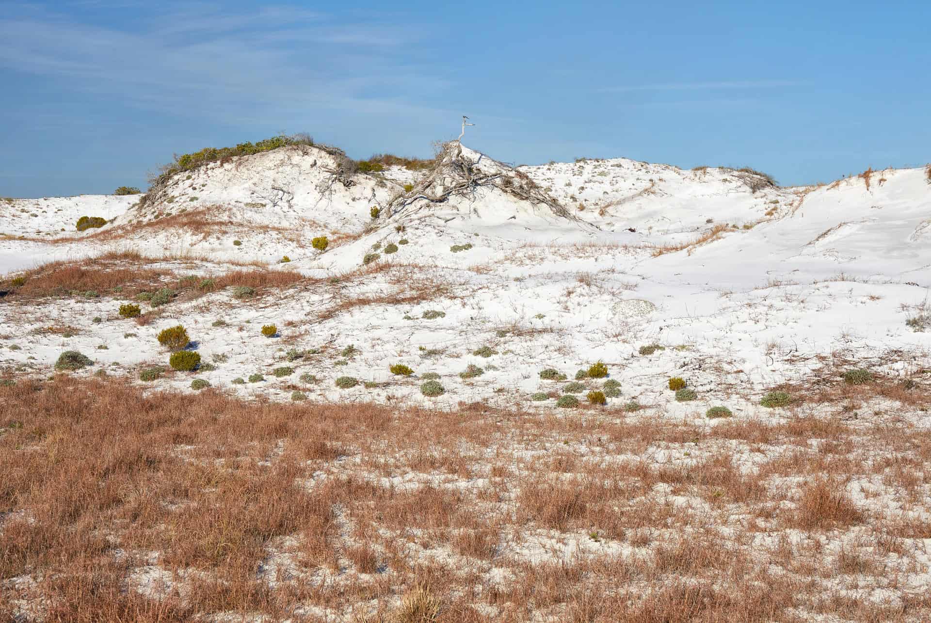 que faire a destin henderson beach park que faire a destin henderson beach park
