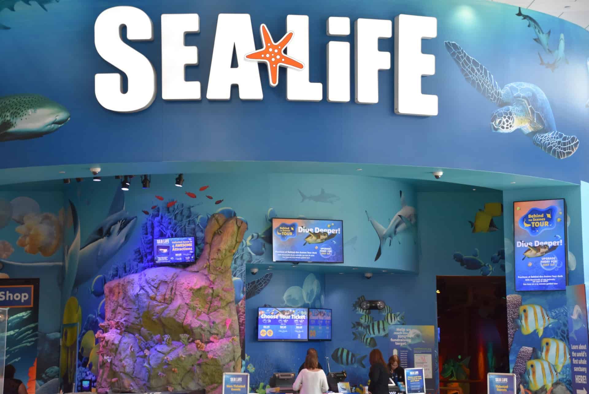 sea life orlando sea life orlando