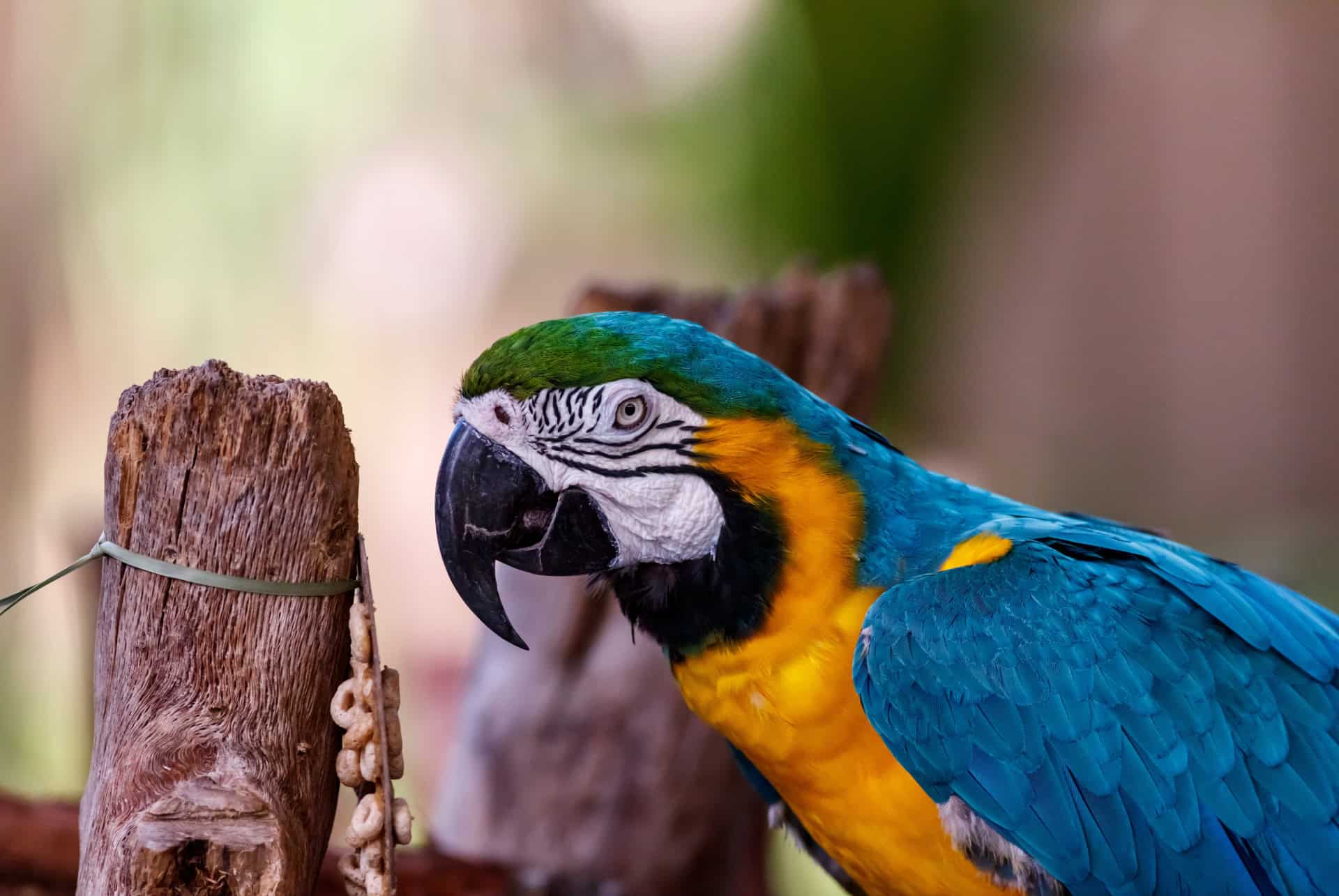 zoo de naples zoo de naples