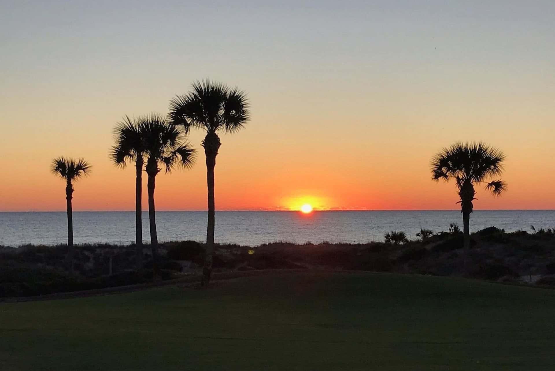 amelia island amelia island