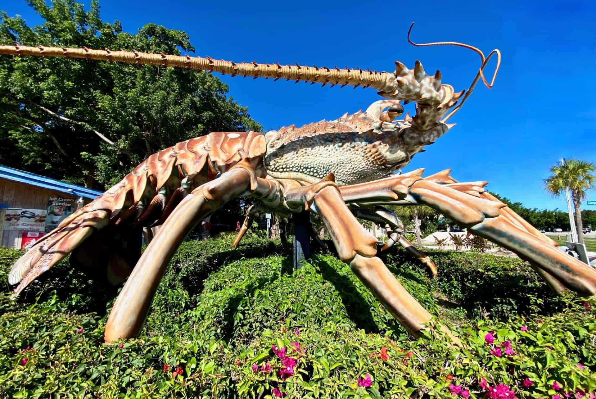 homard geant islamorada homard geant islamorada