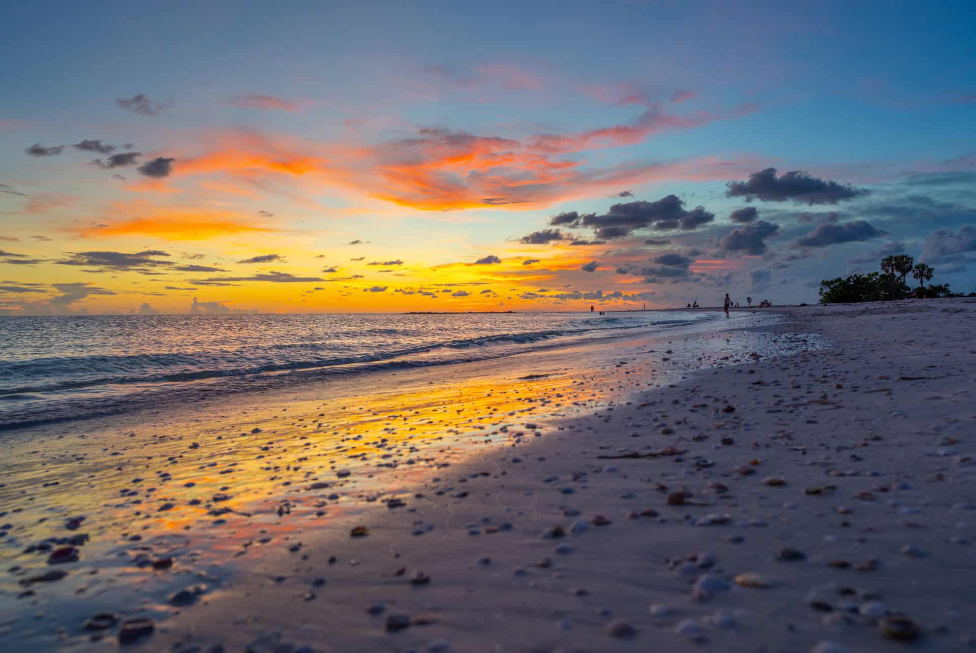 honeymoon island state park honeymoon island state park