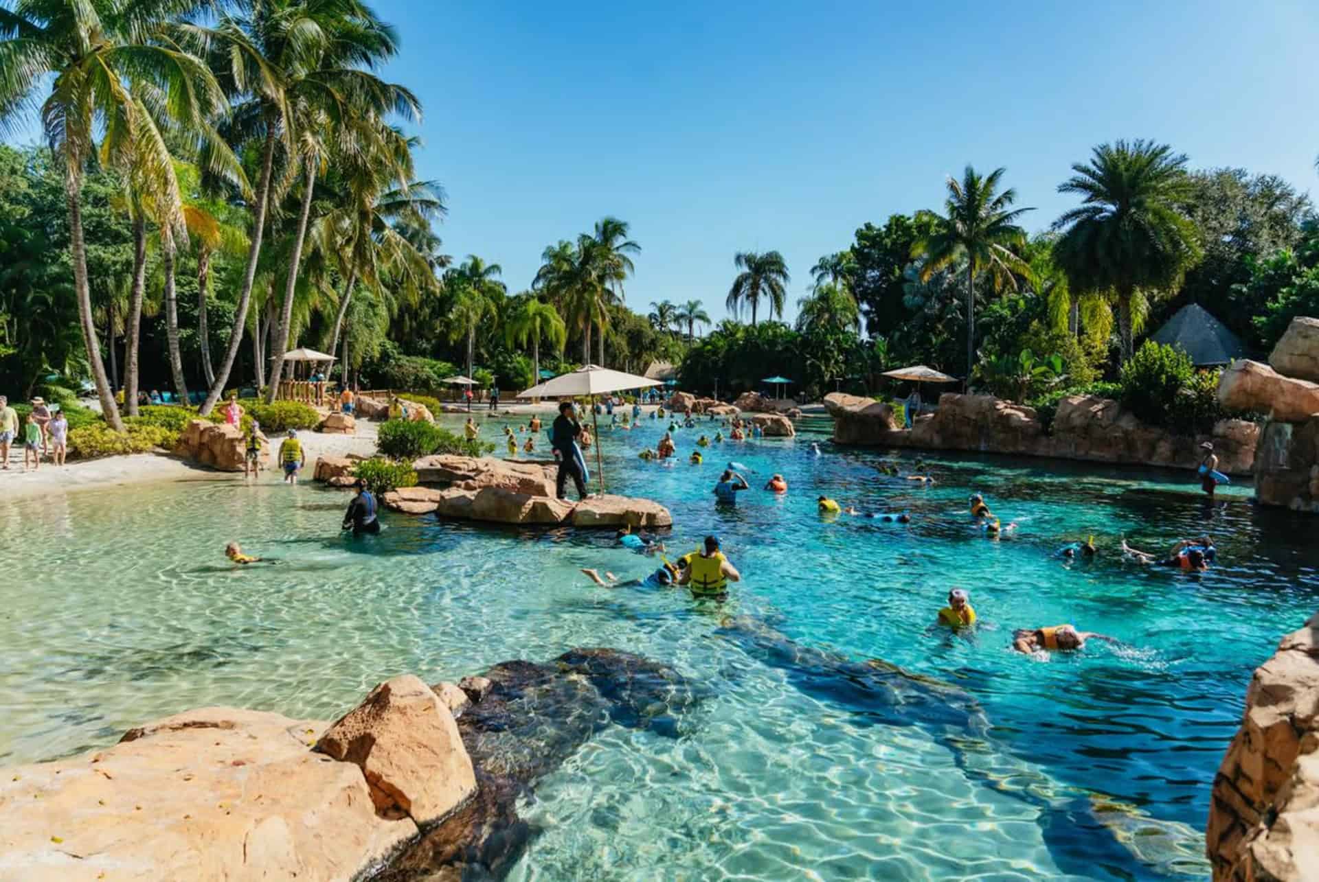 billet entree discovery cove et autres parcs billet entree discovery cove et autres parcs