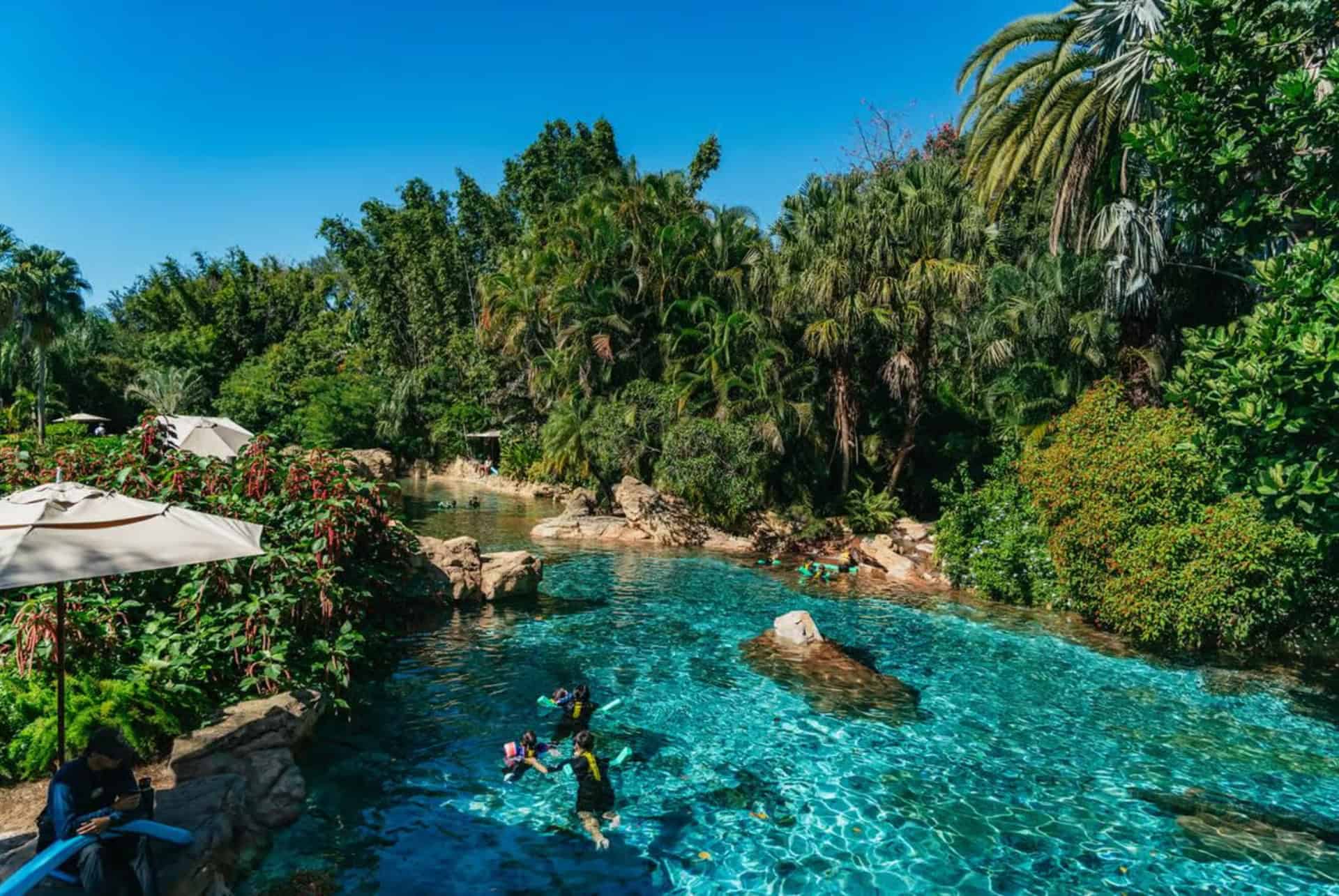 discovery cove discovery cove