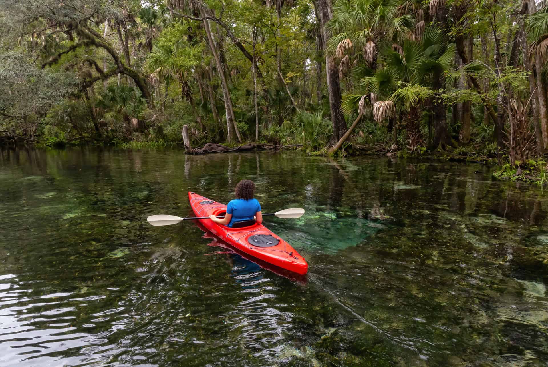 kayak econlockhatchee kayak econlockhatchee