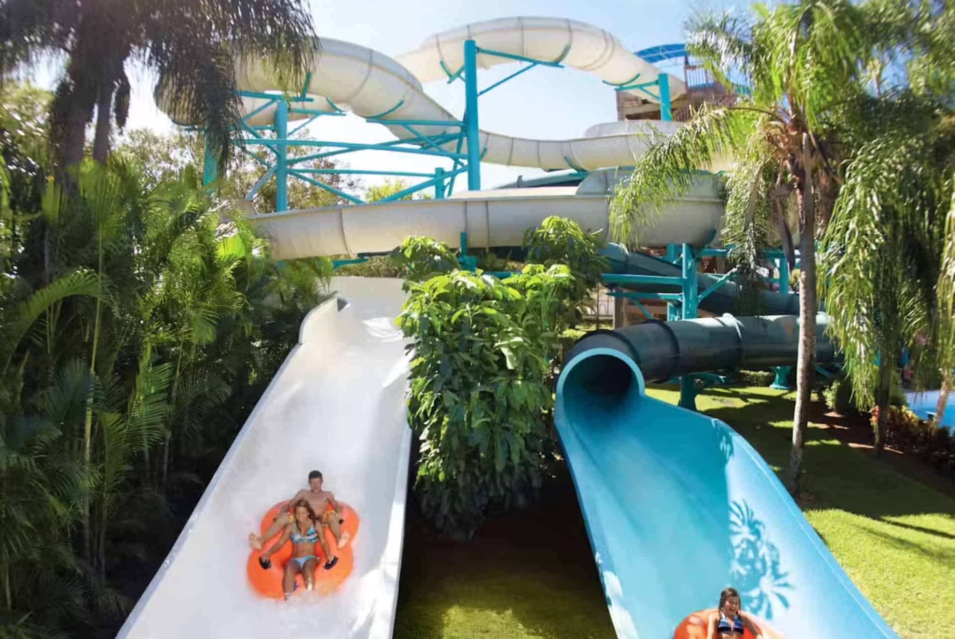 multi park pass free all day dining multi park pass free all day dining